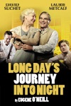 Long Day's Journey Into Night