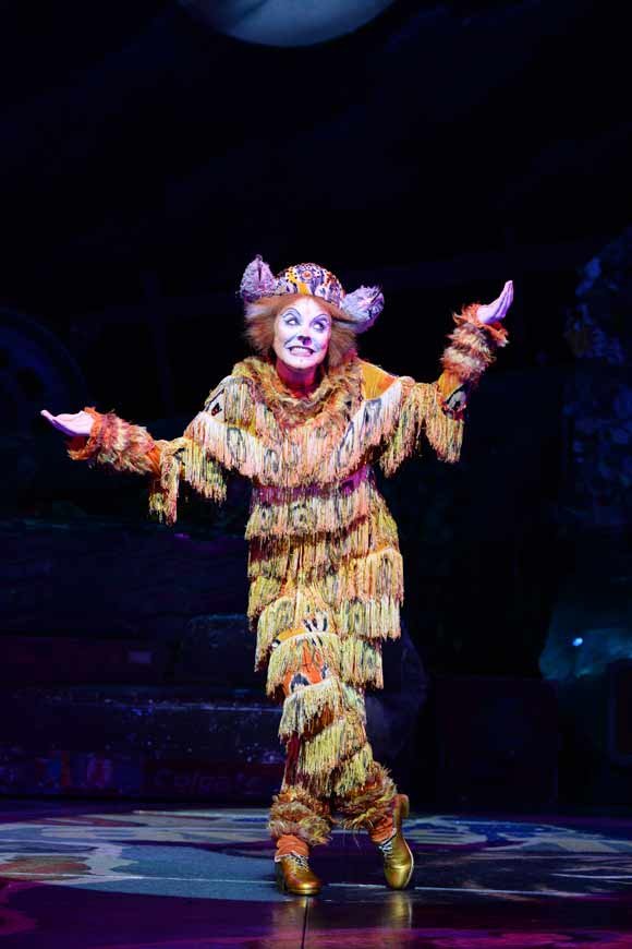 Cats Tickets London Box Office