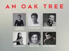 An Oak Tree