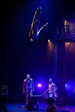 Circus 1903 Circus 1903