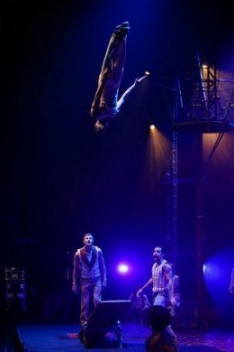 Circus 1903 Circus 1903