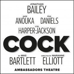 Cock Cock