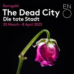 The Dead City The Dead City