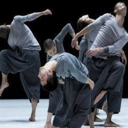 TAO Dance Theatre: 6 +7