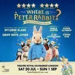 Where Is Peter Rabbit?