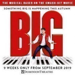 Big The Musical Big The Musical