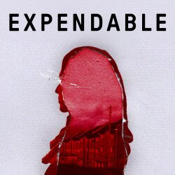 Expendable tickets