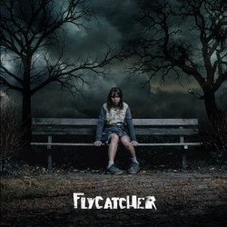 Flycatcher Flycatcher