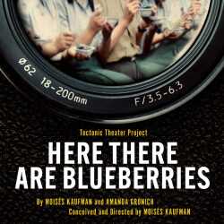 Here There Are Blueberries