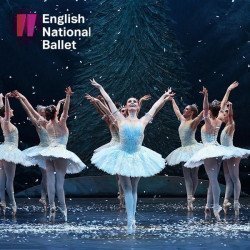 Nutcracker Delights Nutcracker Delights