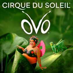 OVO - Cirque du Soleil tickets