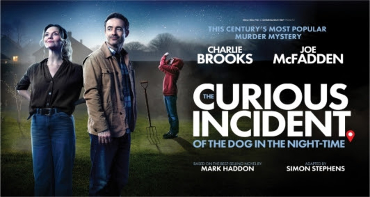Artwork of The Curious Incident of the Dog in the Night-Time