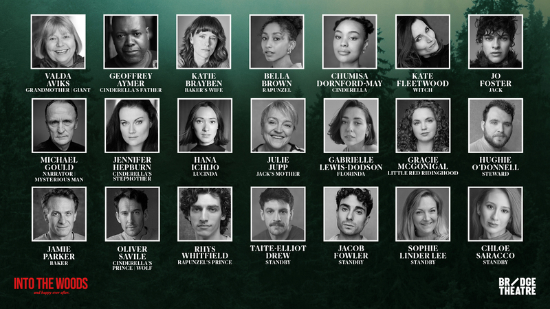 into the woods bridge theatre cast