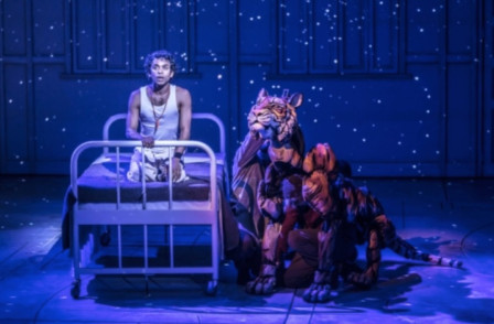 Life Of Pi at Wyndham's Theatre