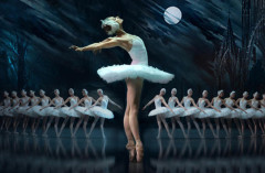 Swan Lake - Irina Kolesnikova