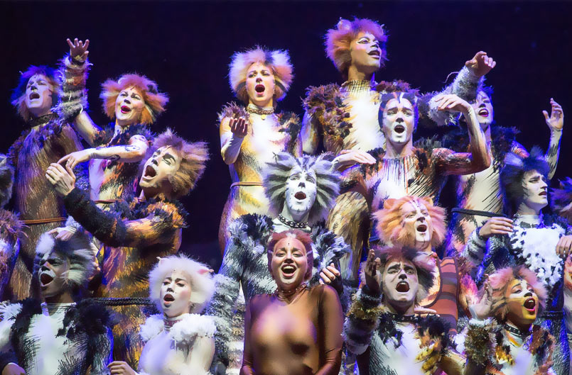 Cats The Musical Full Video
