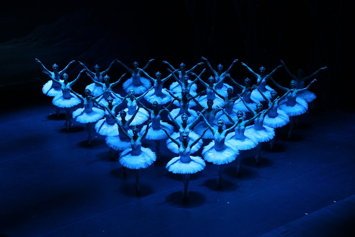 state ballet of georgia swan lake