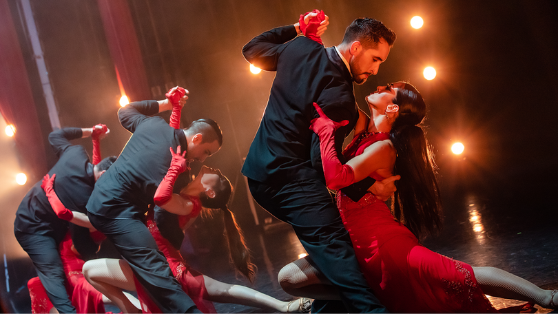 tango after dark peacock theatre