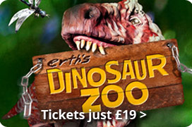 Dinosaur Zoo Dinosaur Zoo