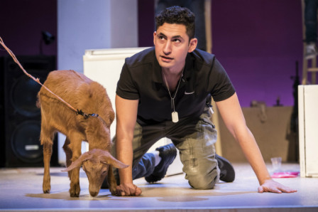 Review: GOATS at The Royal Court Theatre
