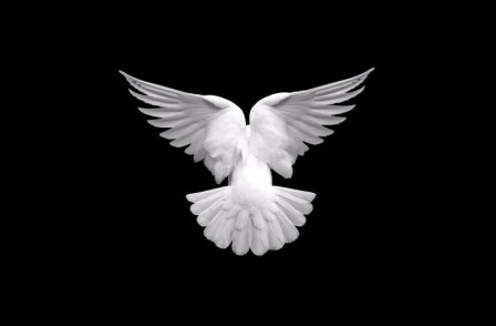 Review: ANYTHING THAT FLIES - Jermyn Street Theatre