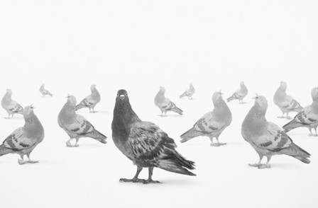 Review of HUMAN ANIMALS at Royal Court Jerwood Upstairs