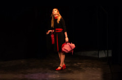 The Revlon Girl - Park Theatre