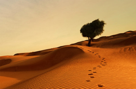 Playwright Suman Bhuchar Previews the Royal Court's Season of Readings by British Asian/ Indian writers