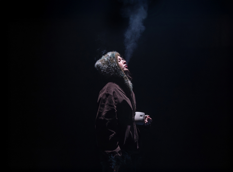 fatherland hampstead theatre review