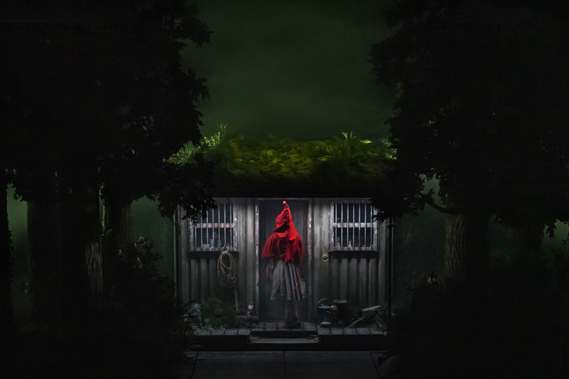 into the woods gracie mcgonigal