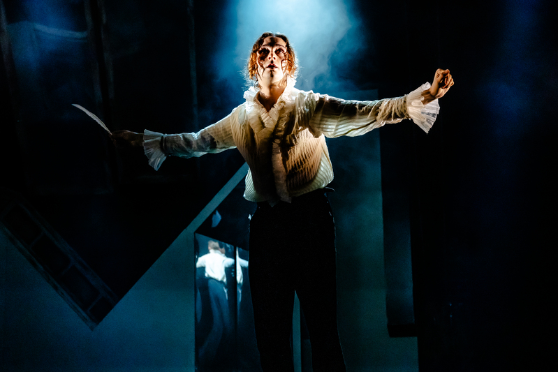 saving mozart the other palace review