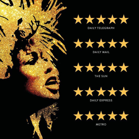 Tina Turner The Musical - Aldwych Theatre