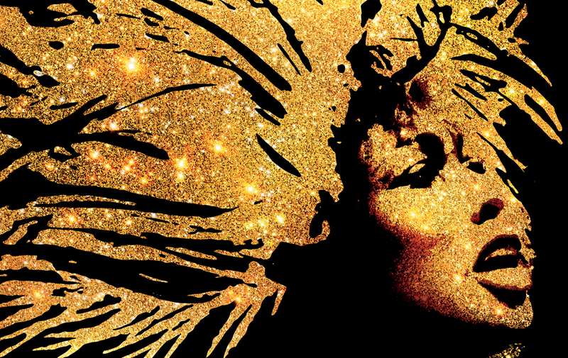 tina turner musical
