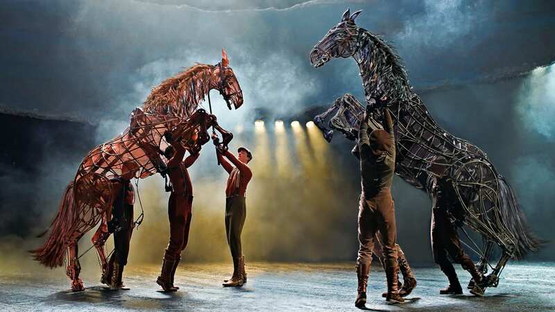 war horse new wimbledon theatre