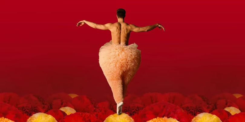 tutu peacock theatre